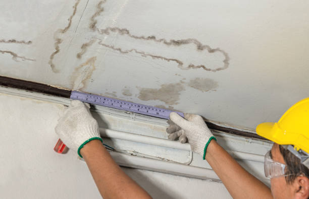 Reliable Water Damage Repair contractor in South Bloomingville, OH by Aqua Guard Water Damage